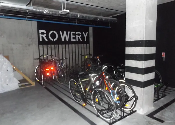 Apartament Rogowo 公寓 *