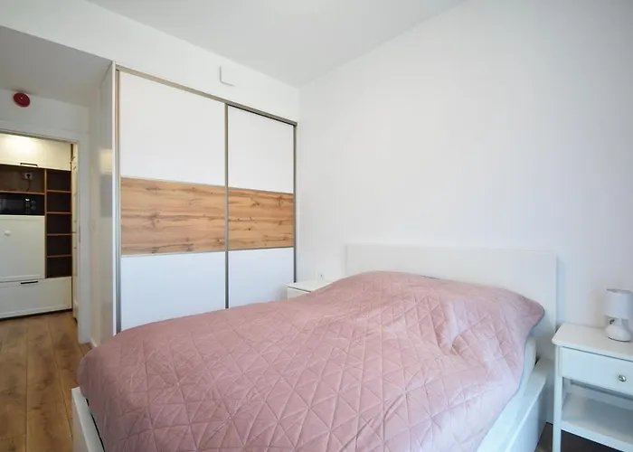 公寓 Apartament Rogowo