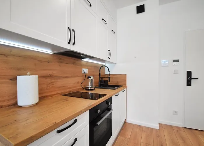 公寓 Apartament Rogowo *